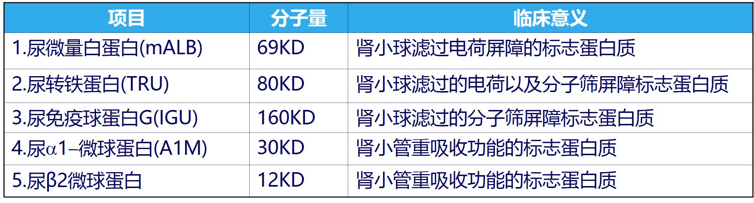 【J9九游会J9生物公告】J9九游会J9生物尿免疫球蛋白、尿转铁蛋白获批上市