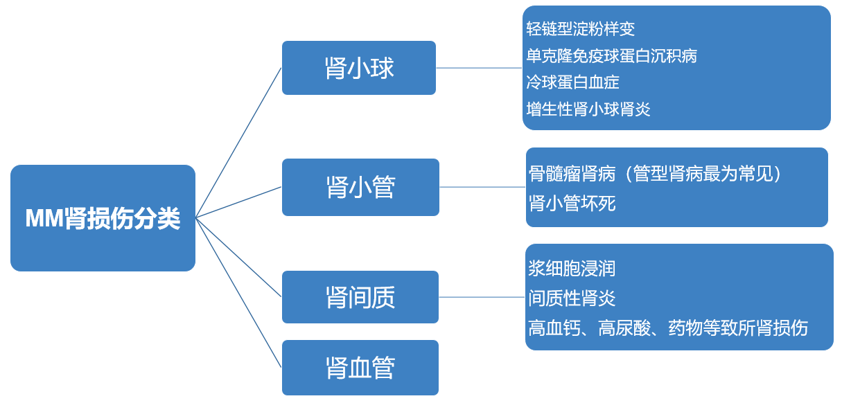 不容忽视的多发性骨髓瘤肾病